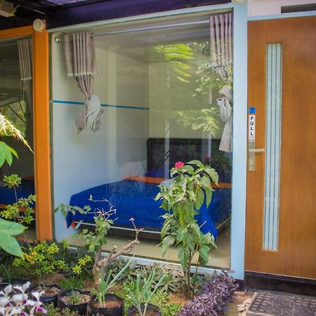 Bromo Ecolodge Eksteriør bilde